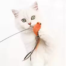 Simulated Bird Toy for Cats