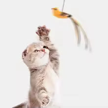 Simulated Bird Toy for Cats