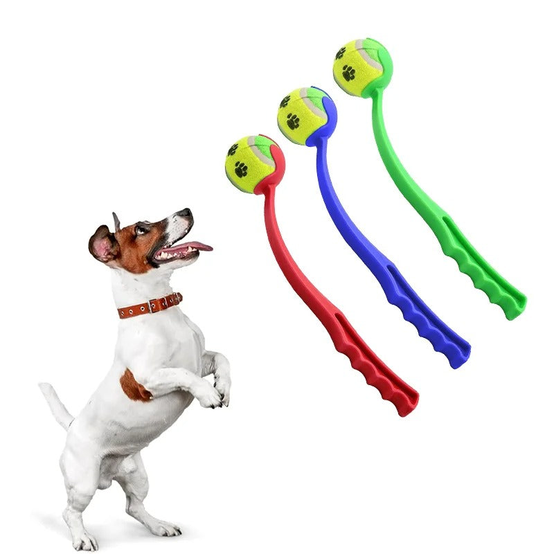 Dog Hand Throwing Ball