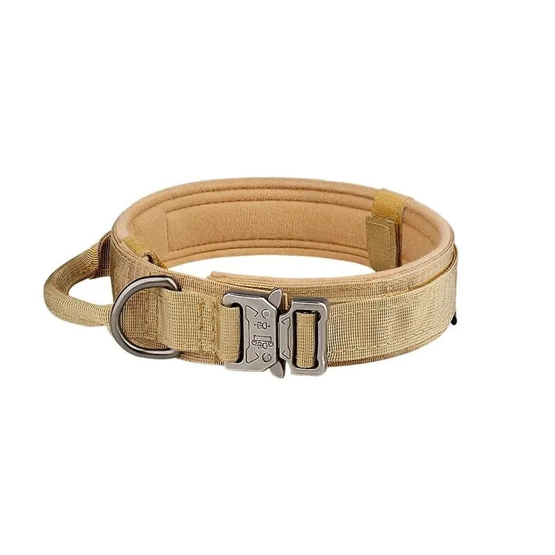 Dog Collars