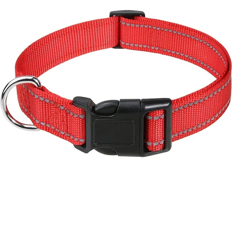 Small Dog Collars