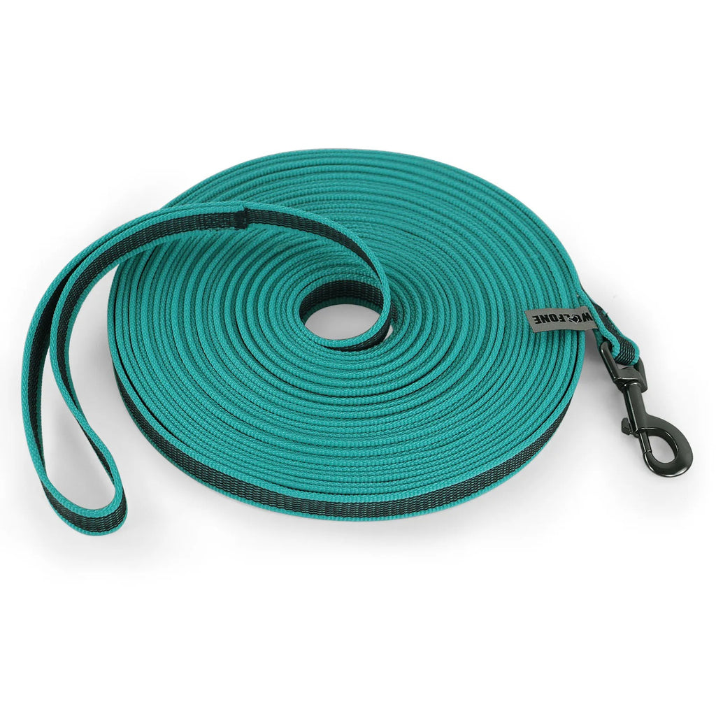 Latex Silk Dog Leash