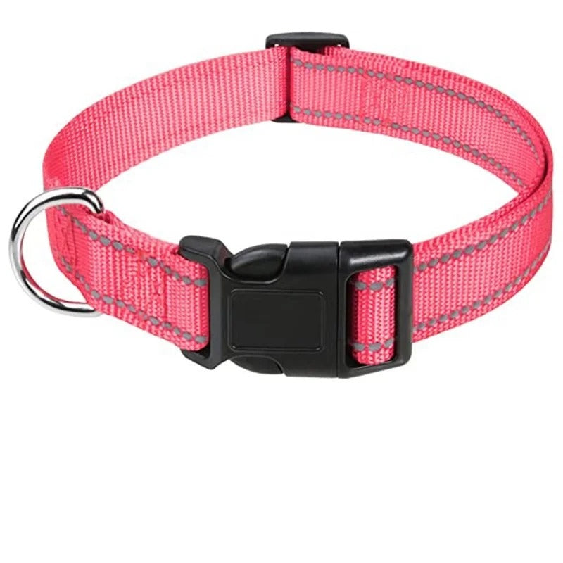 Small Dog Collars