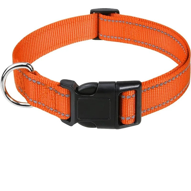 Small Dog Collars