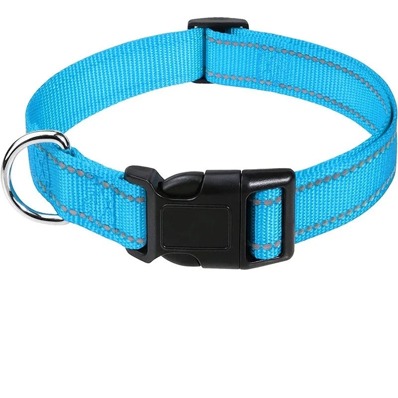 Small Dog Collars