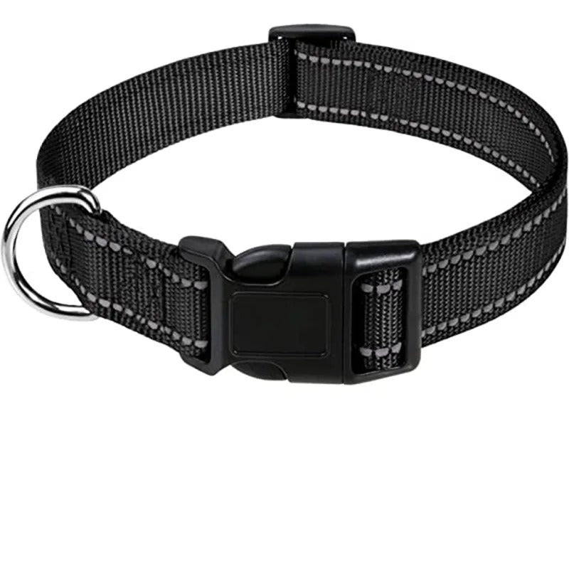 Small Dog Collars