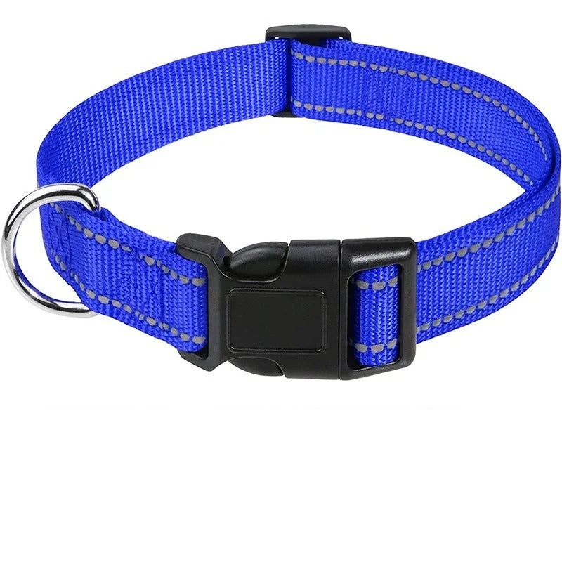 Small Dog Collars