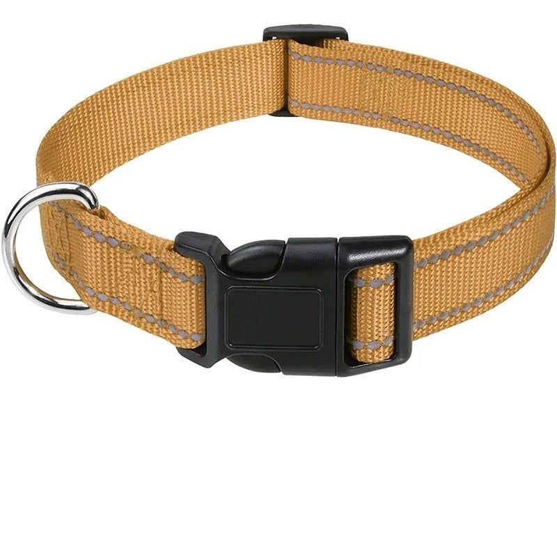 Small Dog Collars