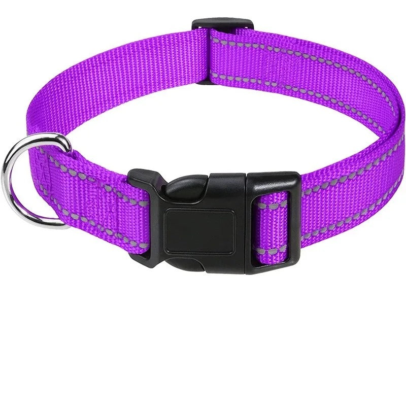 Small Dog Collars