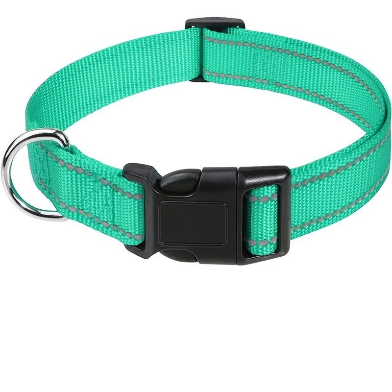 Small Dog Collars