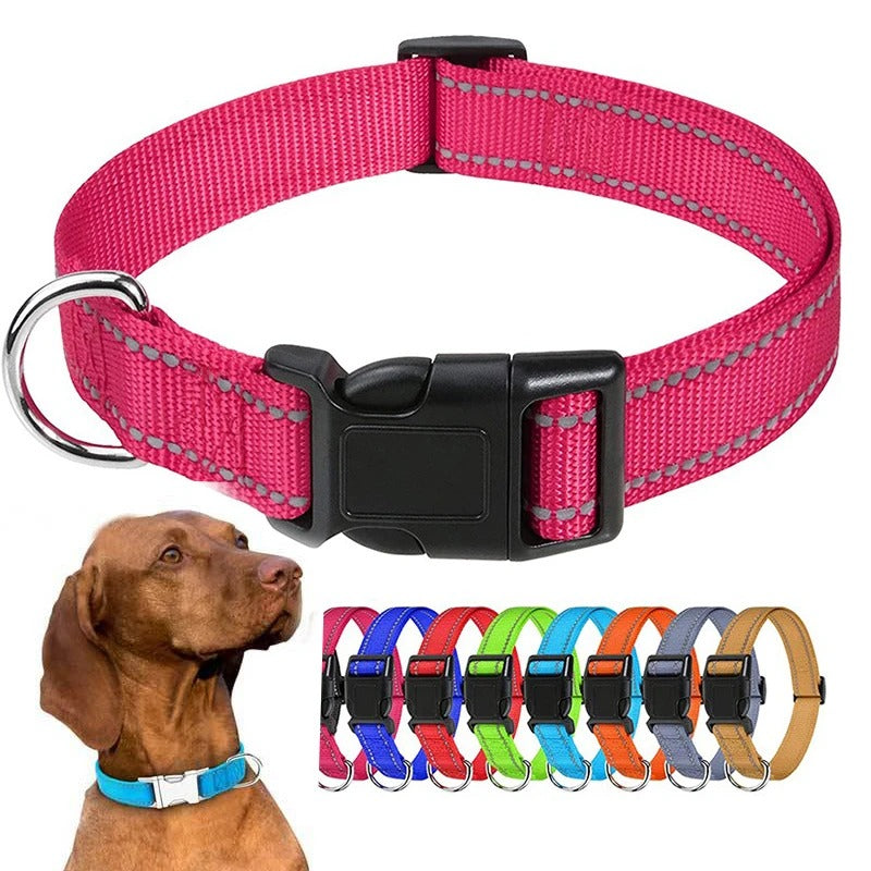 Small Dog Collars