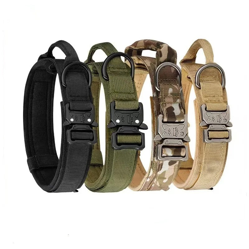 Dog Collars