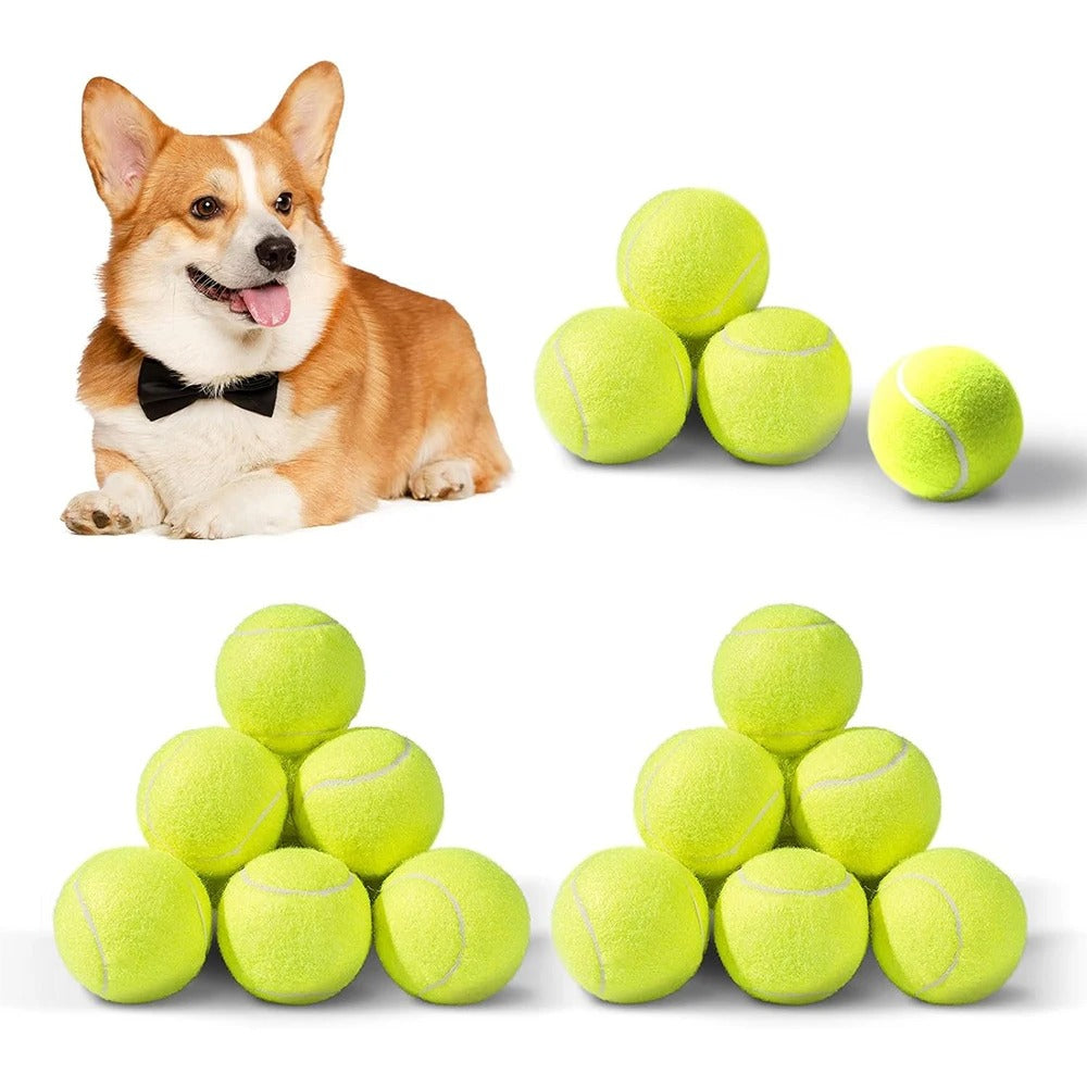 Dog Tennis Ball