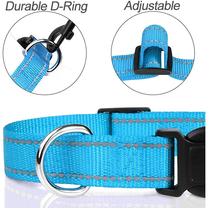 Small Dog Collars