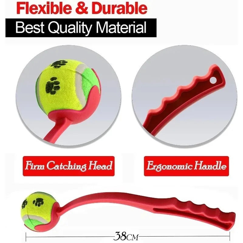 Dog Hand Throwing Ball
