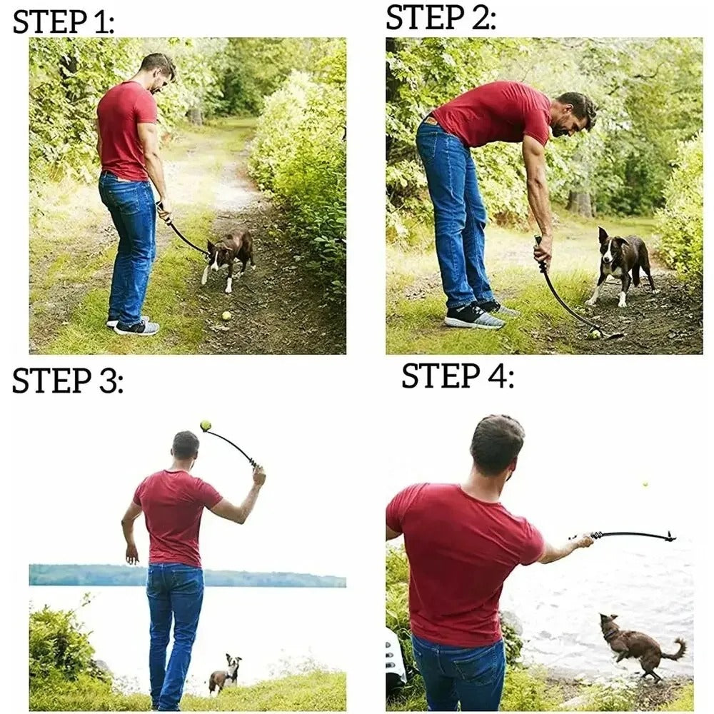 Dog Hand Throwing Ball
