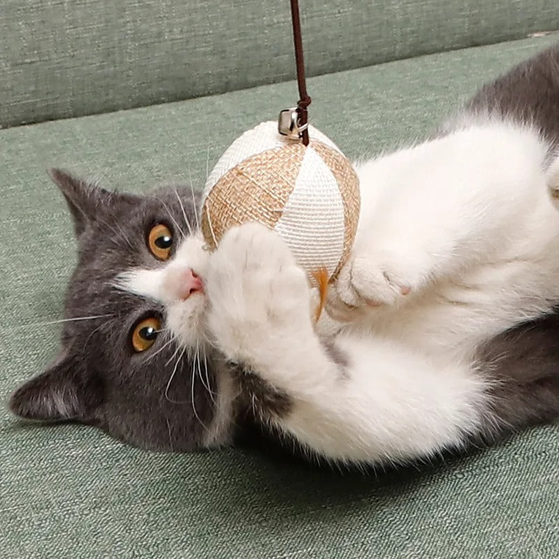 Kitten Teaser Feather Toys