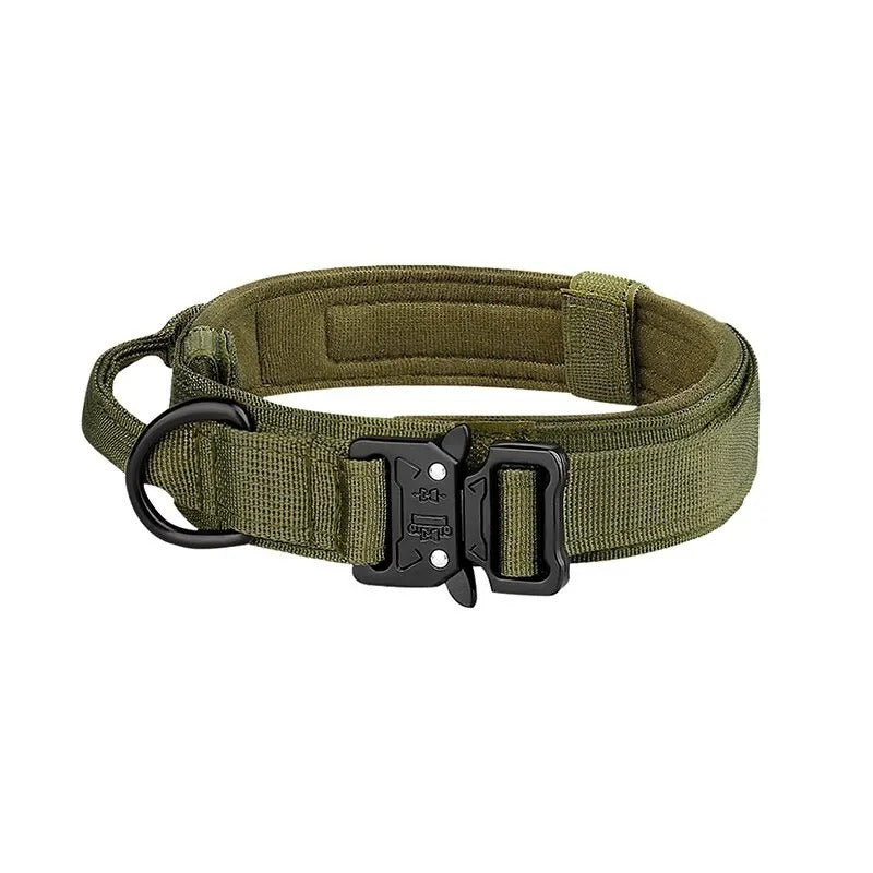 Dog Collars