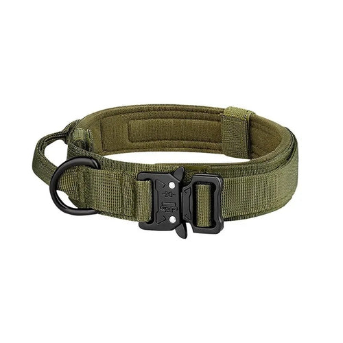 Dog Collars