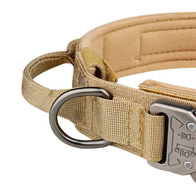 Dog Collars