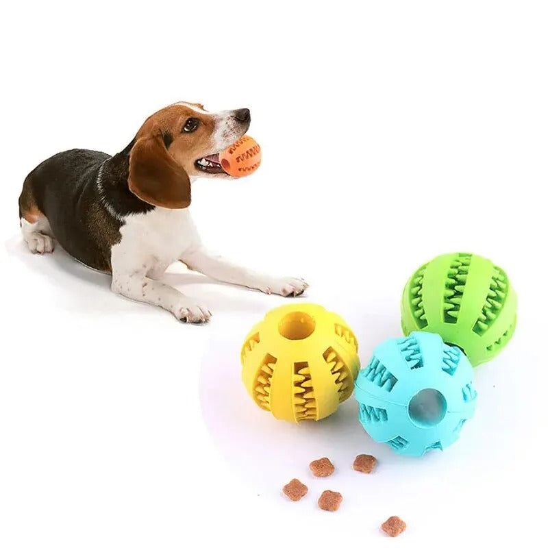 Treat Feeder Ball