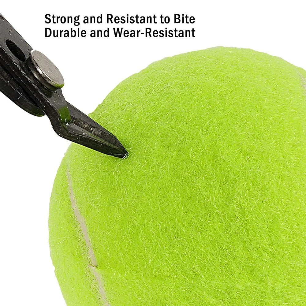 Dog Tennis Ball