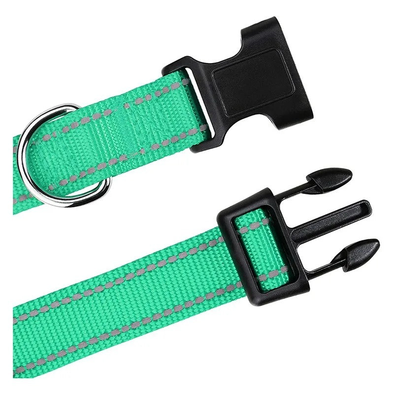 Small Dog Collars