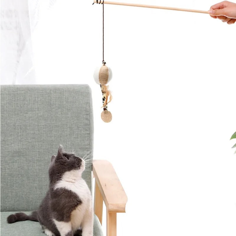 Kitten Teaser Feather Toys
