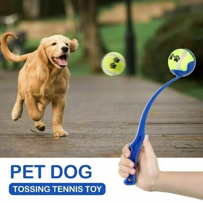 Dog Hand Throwing Ball