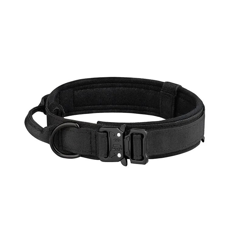 Dog Collars