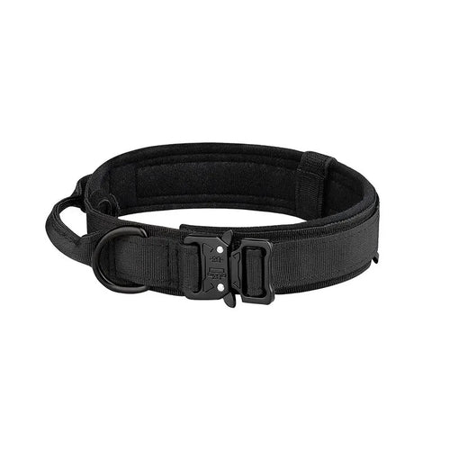 Dog Collars