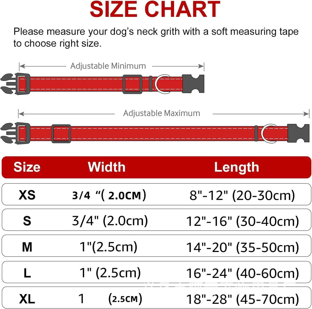 Small Dog Collars
