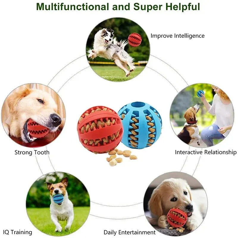 Treat Feeder Ball