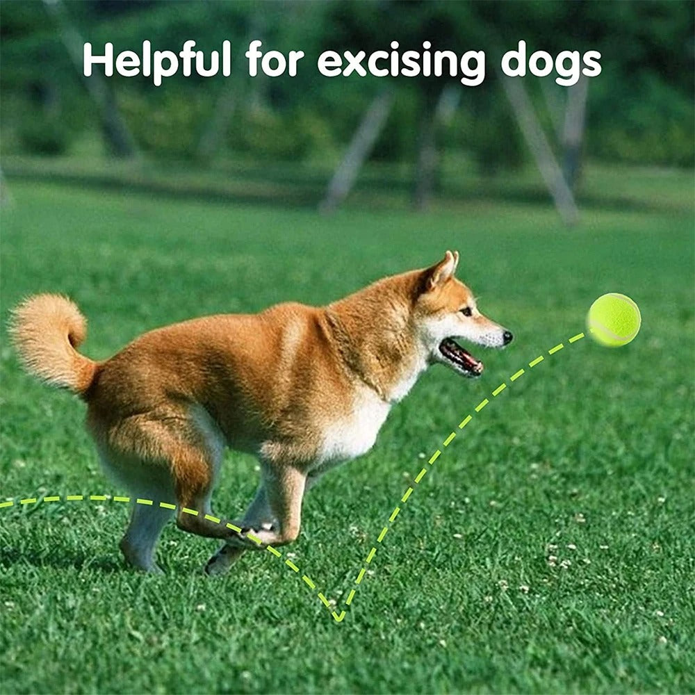 Dog Tennis Ball