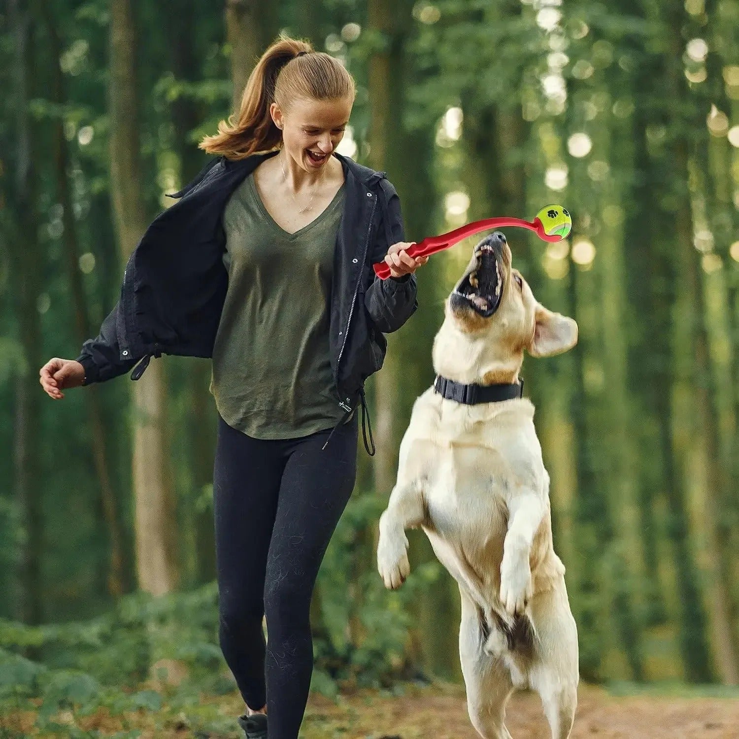Dog Hand Throwing Ball