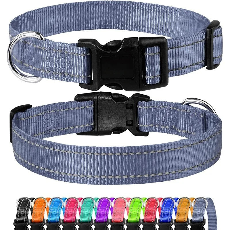 Small Dog Collars