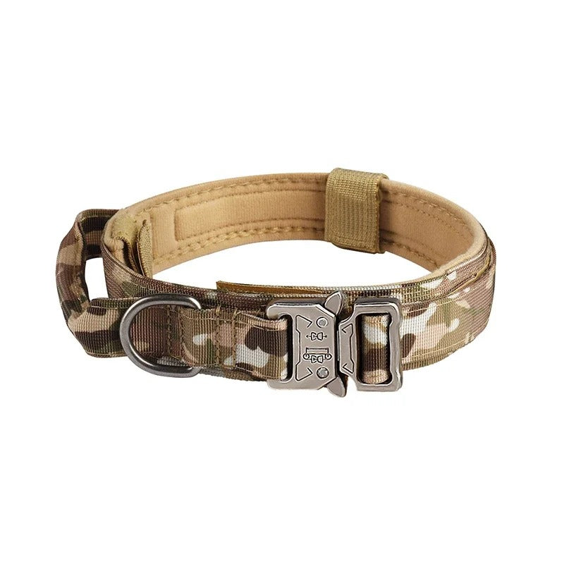 Dog Collars