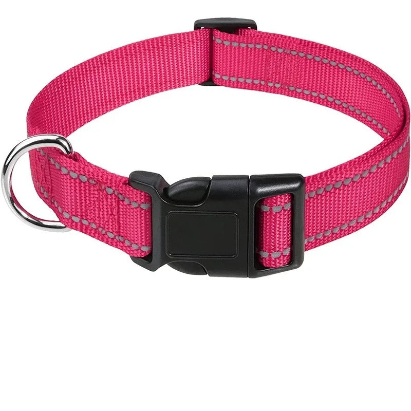 Small Dog Collars