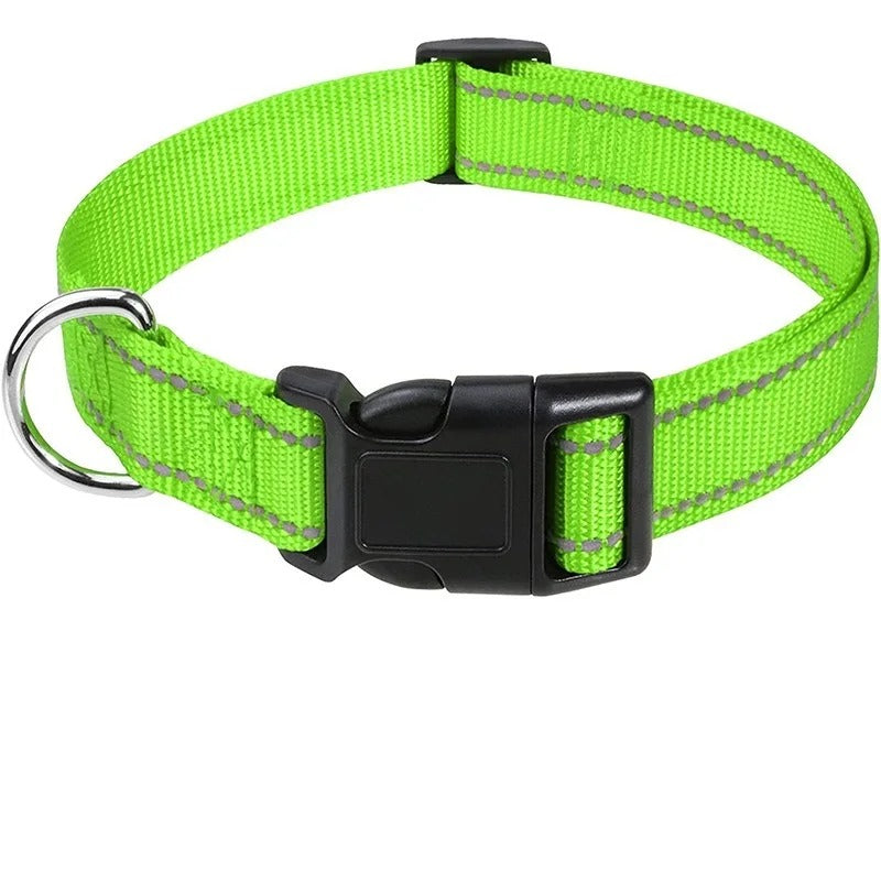 Small Dog Collars