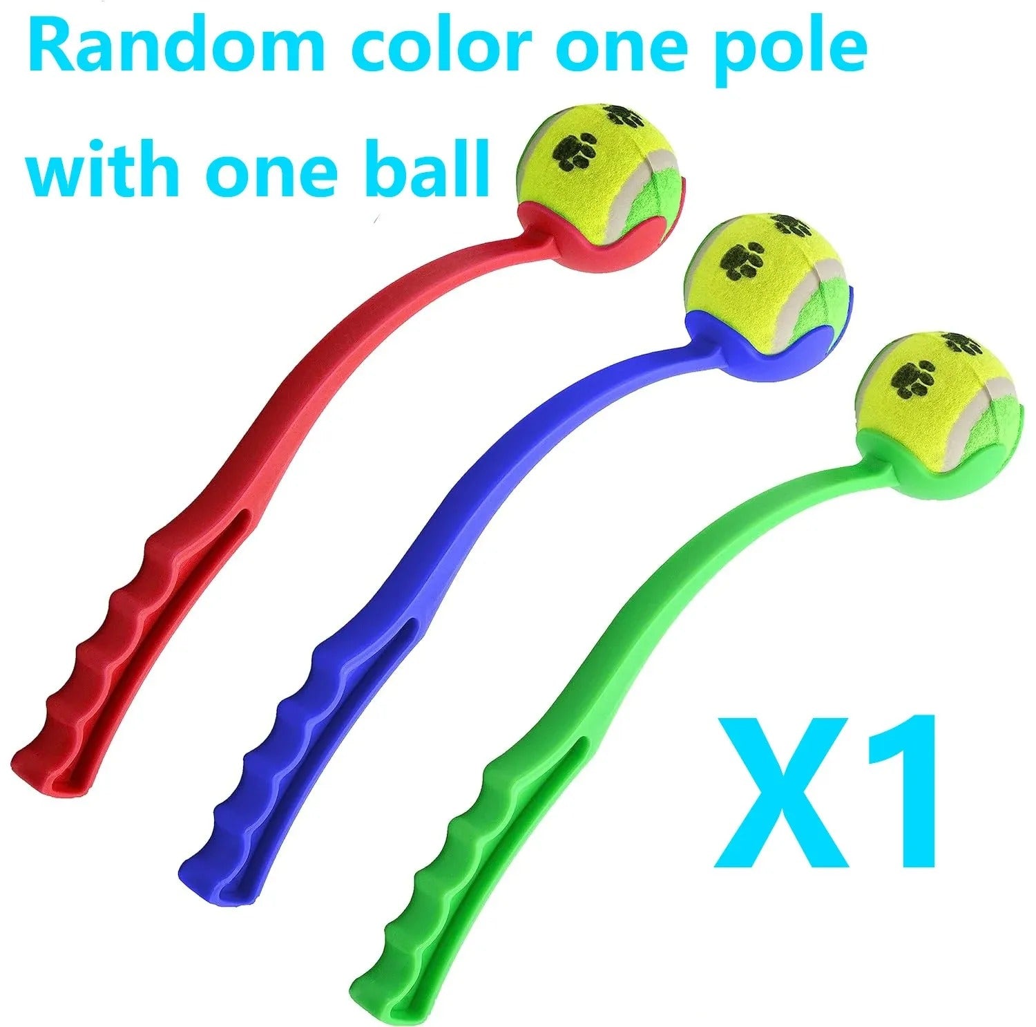 Dog Hand Throwing Ball