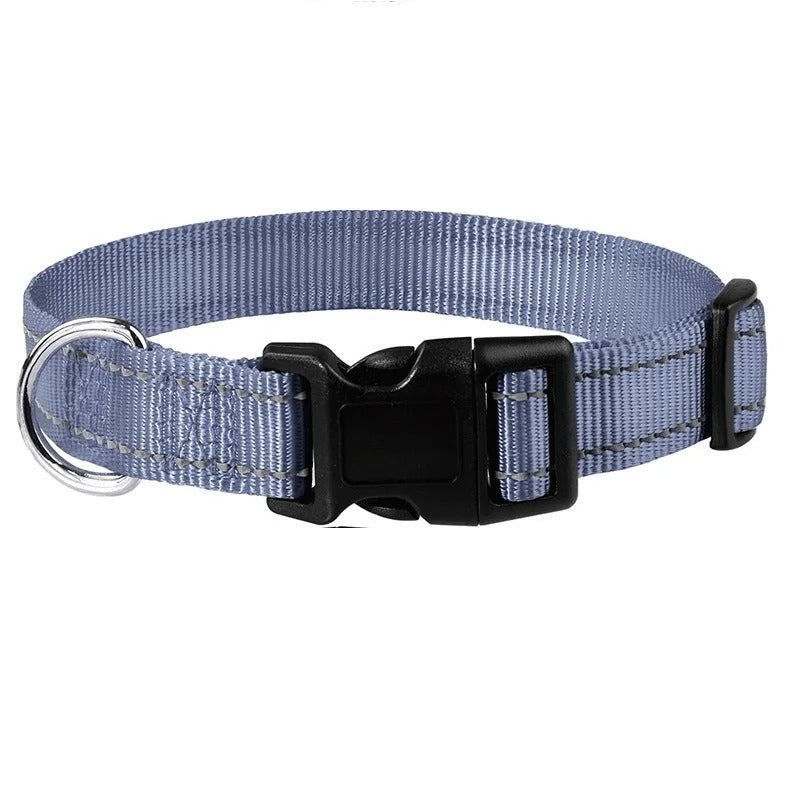 Small Dog Collars